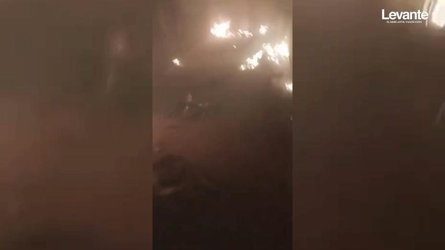 El incendio junto al río Vaca alcanza un recinto de caballos en Xeraco