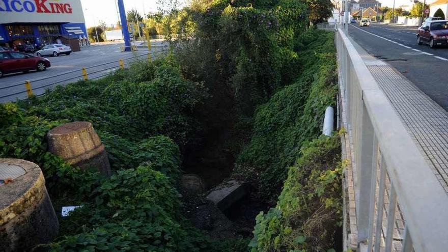 El río de O Con, cerca de la avenida de Pontevedra queda oculto por la maleza. // Iñaki Abella