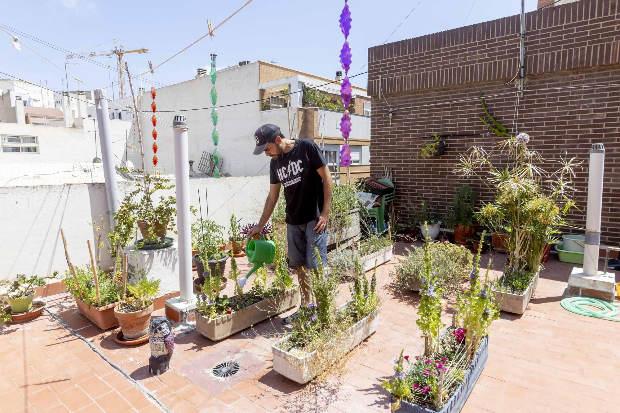 Los huertos en balcones y terrazas son ya una tendencia al alza en la provincia de Alicante