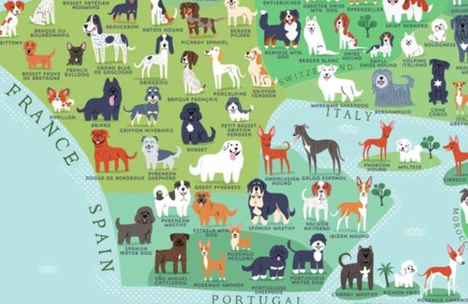 Mapa razas de perro del mundo