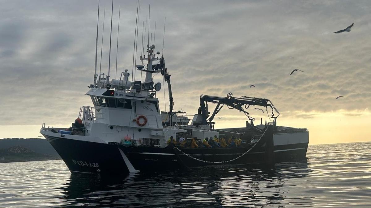El cerquero gallego «Nuevo Miñones» durante una jornada de pesca de anchoa.