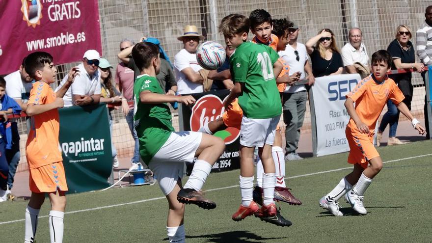 El Torneo Ciudad de Murcia alevín entra en su fase final