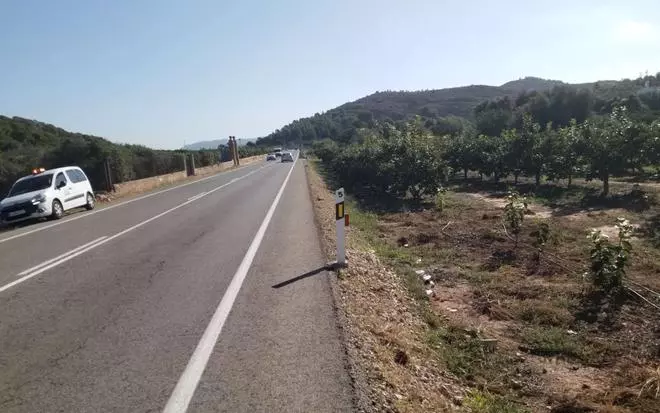 La diputación protege la carretera de Alzira a Favara con sistema de destellos luminosos para ahuyentar a los jabalíes