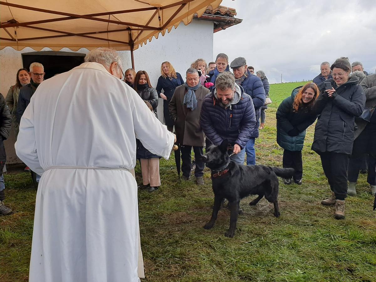 Robledo, en Llanera, bendice a sus mascotas por San Antón