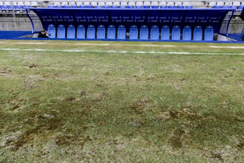 Estado del cesped del estadio Carlos Tartiere