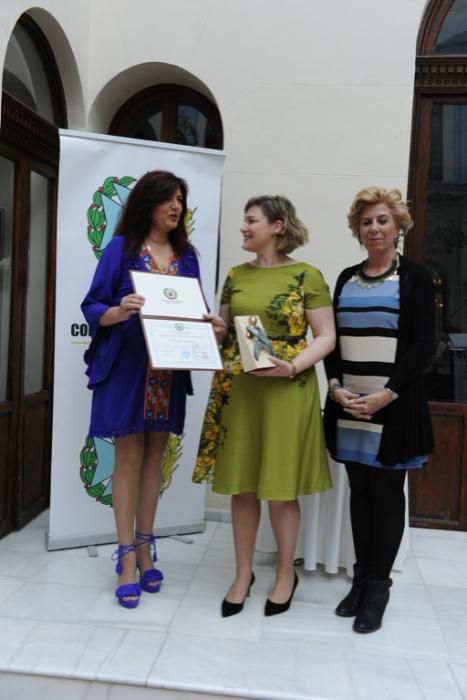 Premios Colegio de Enfermería