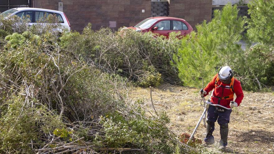 Gavarda crea cortafuegos perimetrales para protegerse ante incendios forestales