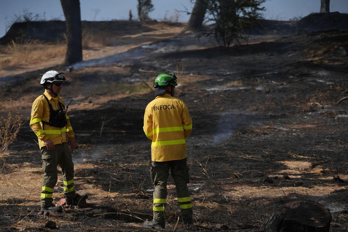 Imagen del incendio en la zona del Cerro del Carambolo en Camas (Sevilla).