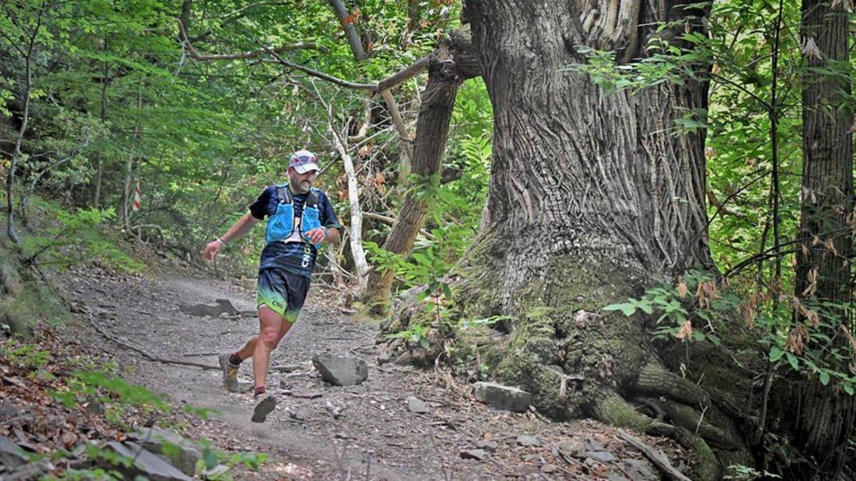 Ya son más de 1.000 los atletas inscritos en la Trail Fonts del Montseny