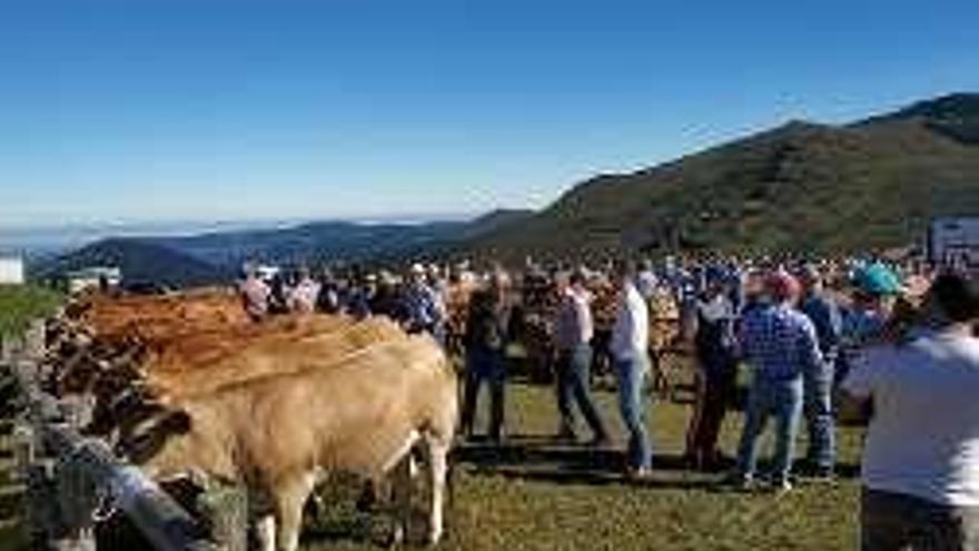 Ambiente el domingo en la feria de La Garganta.