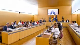 Rosa Dávila: «Nos saltamos la regla de gasto con toda la intención»