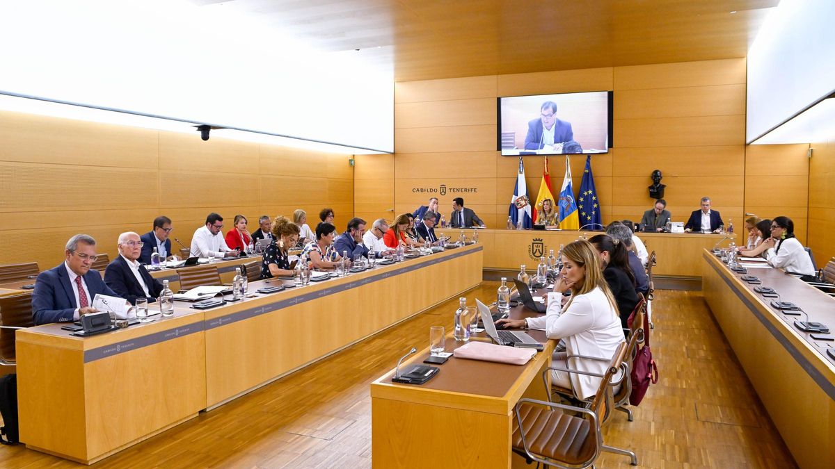Un momento del plano de hoy en el Cabildo de Tenerife