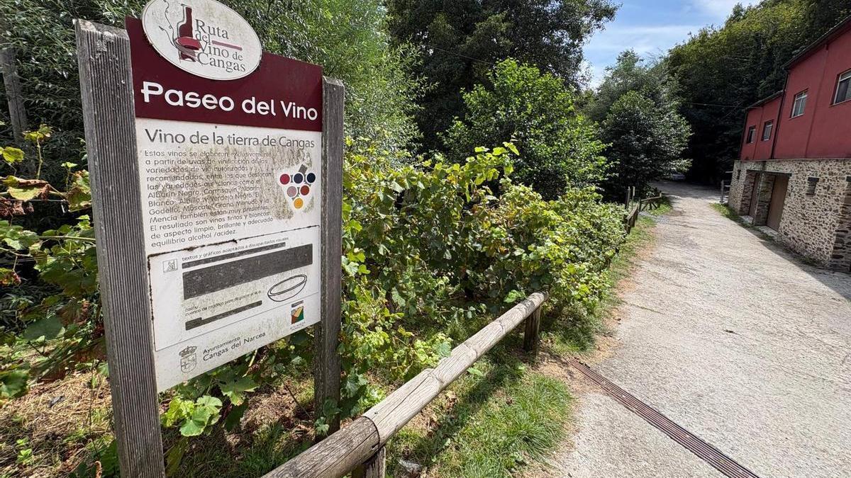 Entrada al Paseo del Vino desde el barrio de Santiso.