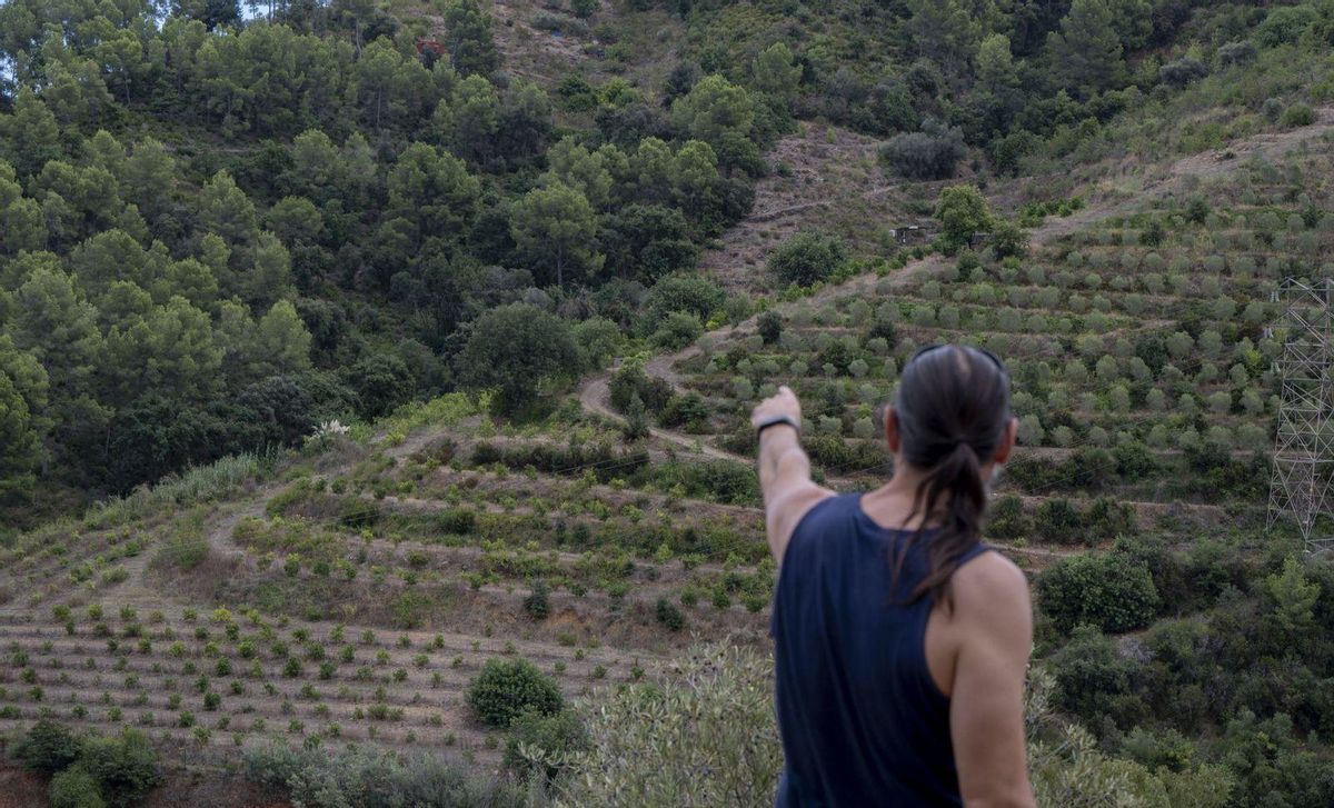 L’AMB redobla els esforços contra els incendis de nova generació