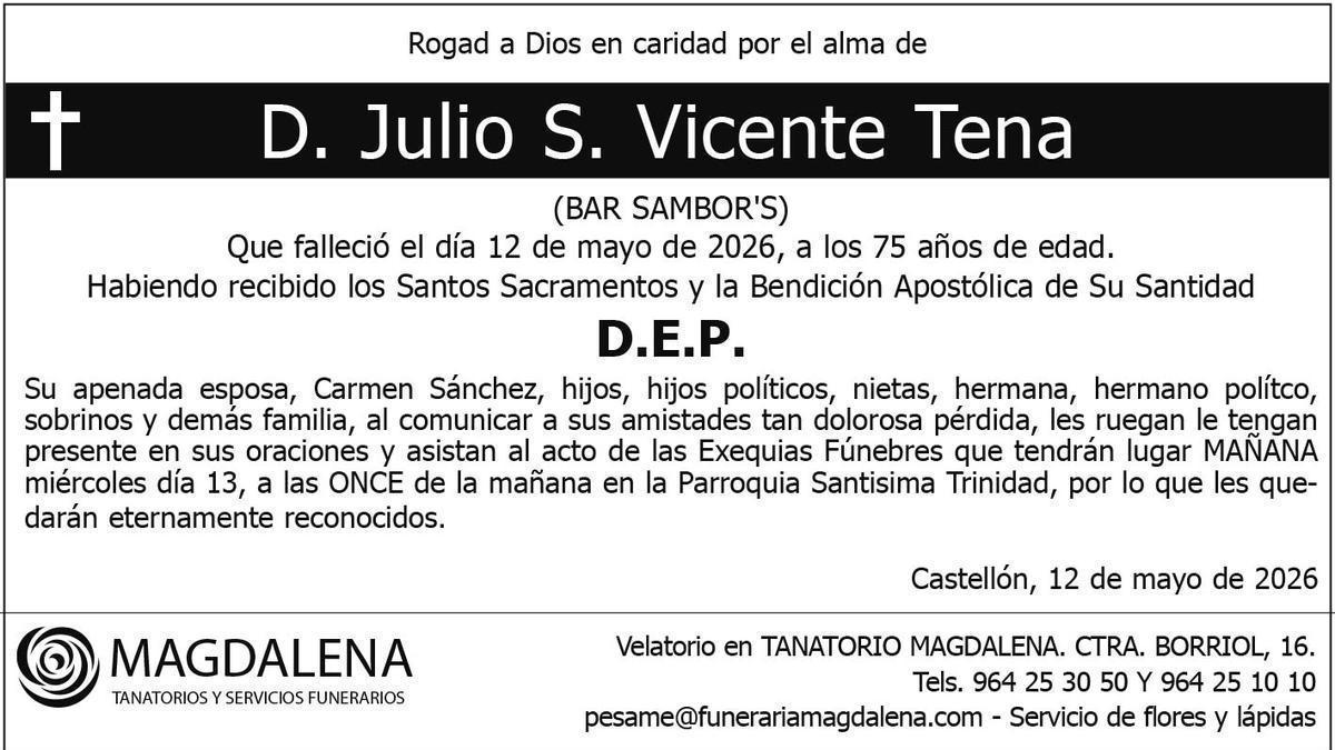 D. Julio S. Vicente Tena