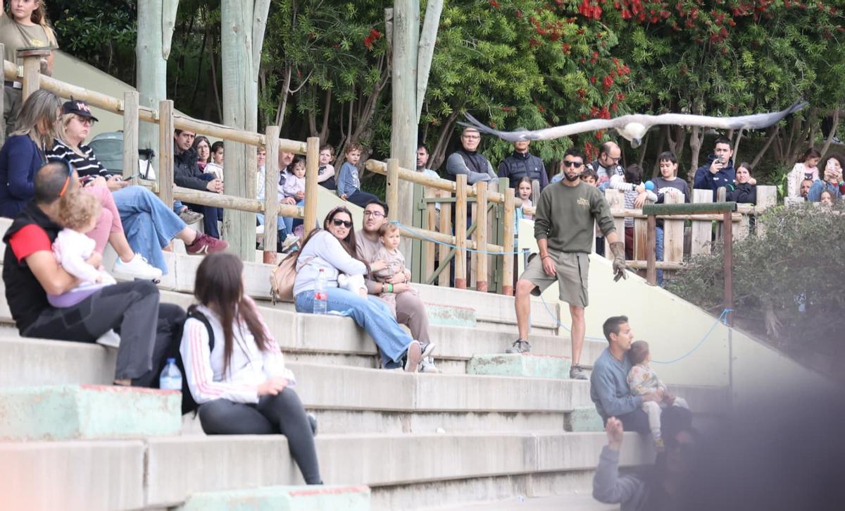 El foro Creciendo Juntos en TERRA NATURA, en imágenes
