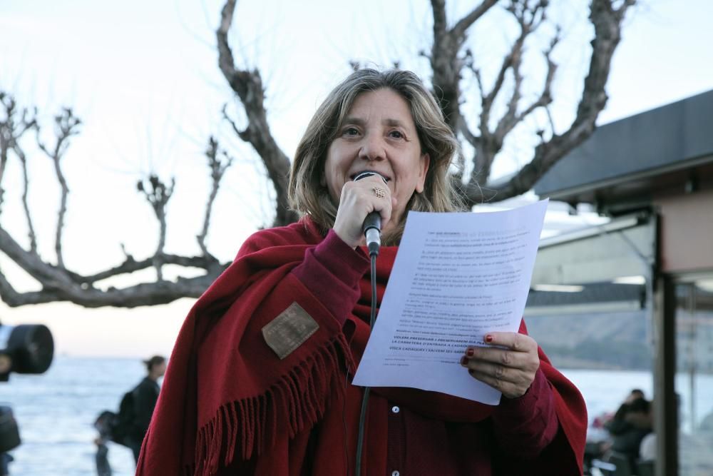 Protesta per la tala de plataners a Cadaqués