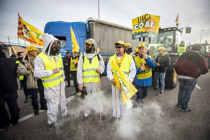 Manifestación de agricultores en Zaragoza