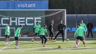 El Elche prepara el partido contra el Valladolid con dos bajas y dos dudas