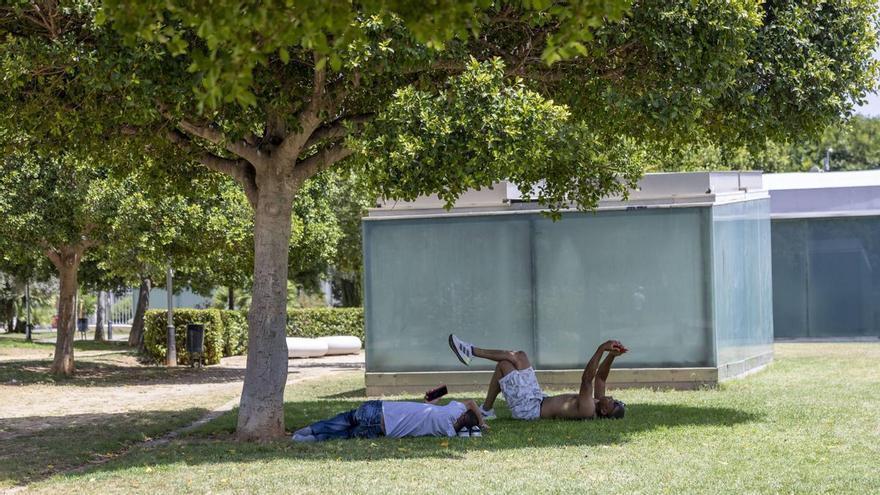 VÍDEO | ¿Por qué hace tanto calor en Mallorca y cuándo empezará a remitir? Las claves de la ola que aún no ha tocado techo