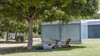¿Por qué hace tanto calor en Mallorca y cuándo empezará a remitir? Las claves de la ola que aún no ha tocado techo