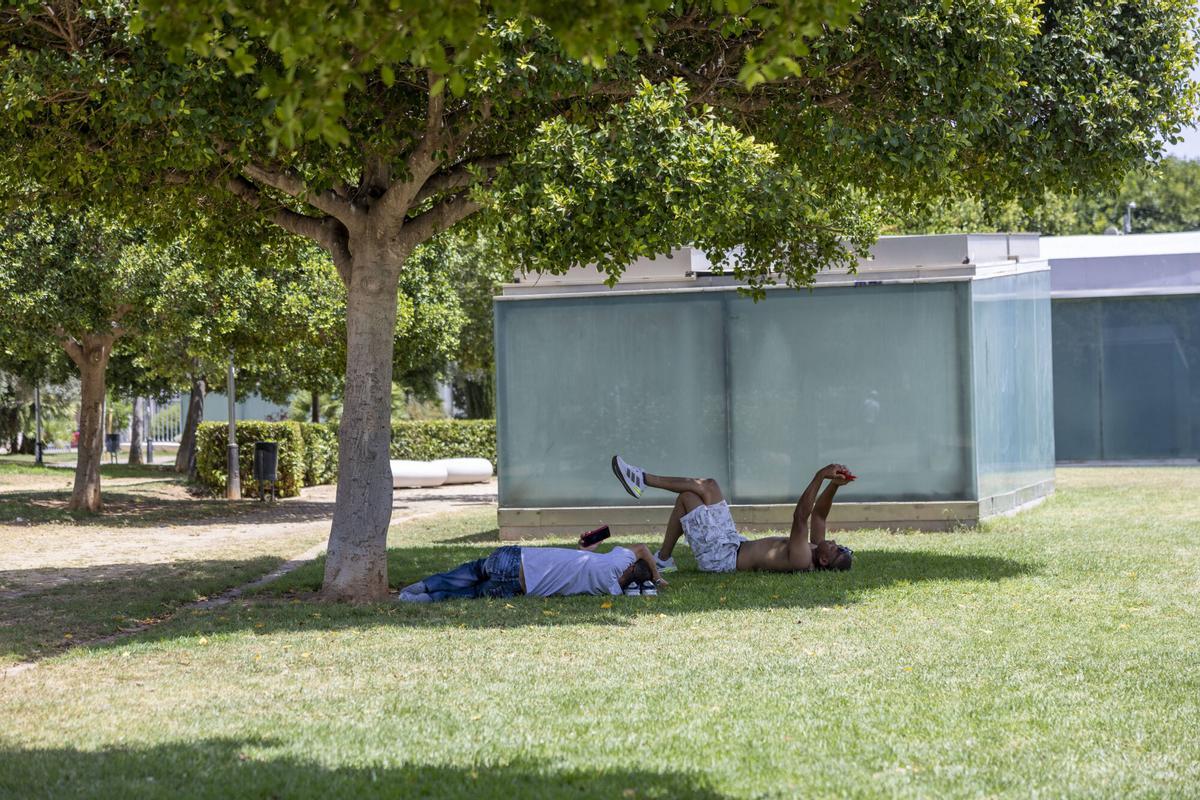 Así vive Mallorca la primera ola de calor del verano