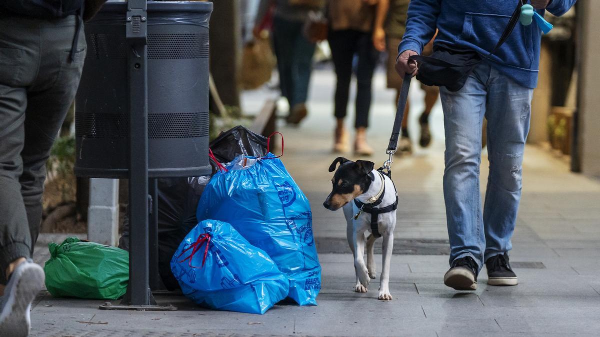 Algunos perros parece que tampoco lo ven del todo claro