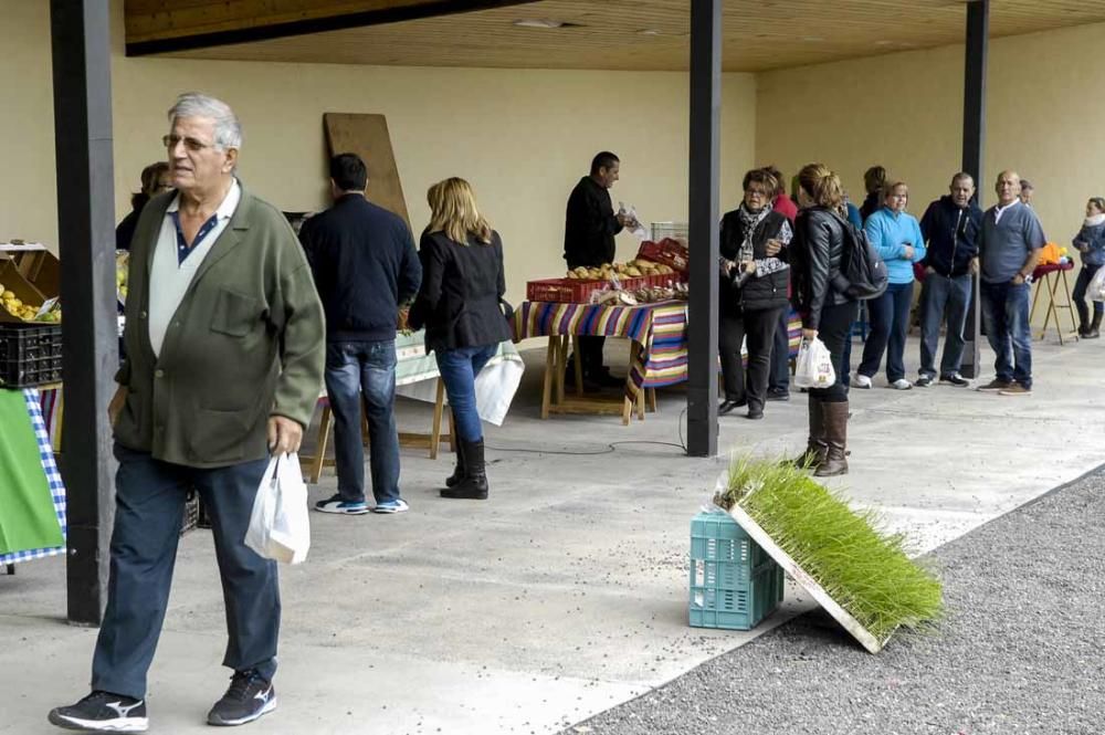 Mercado de berros a 1 euro en Ingenio