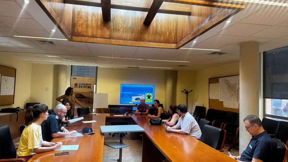 Encuentro formativo en dependencias municipales.
