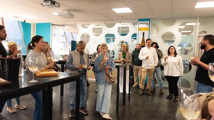 Rutas de senderismo y degustaciones gourmet: la nueva experiencia enoturística de Paco & Lola