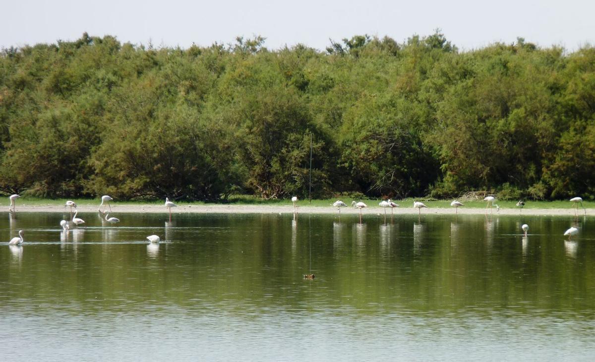 Lantejuela y el curioso motivo por el que todo el mundo pronuncia mal el nombre de este pueblo sevillano