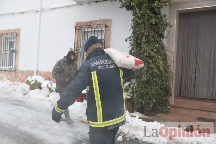 Nieve en Coy y Avilés (Lorca)