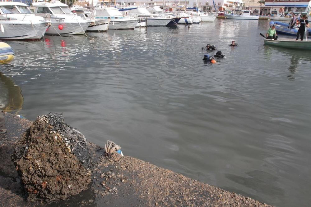 Buceadores limpian la basura del fondo del puerto de Cabo de Palos