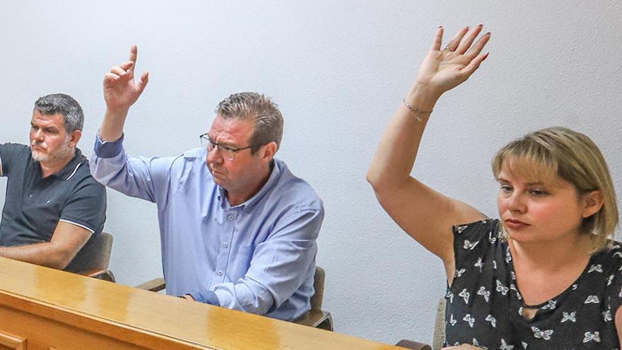 Imagen de los tres concejales de Los Verdes en un pleno del Ayuntamiento de Torrevieja/ Foto TONY SEVILLA