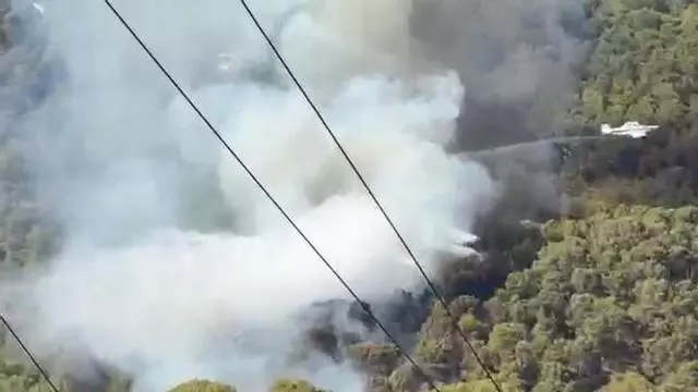 Waldbrand bei Gènova