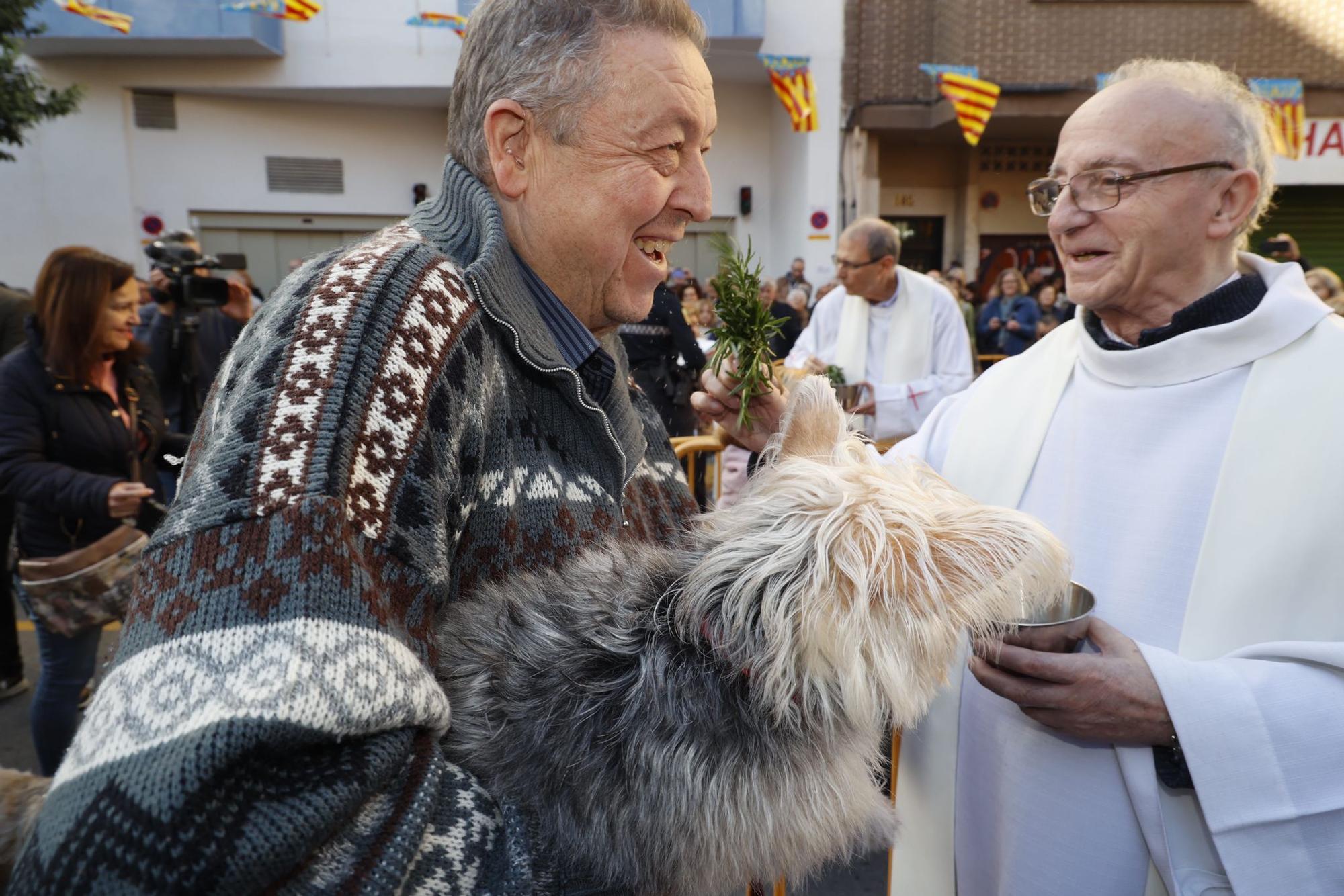 Búscate en la bendición de animales de Sant Antoni de València