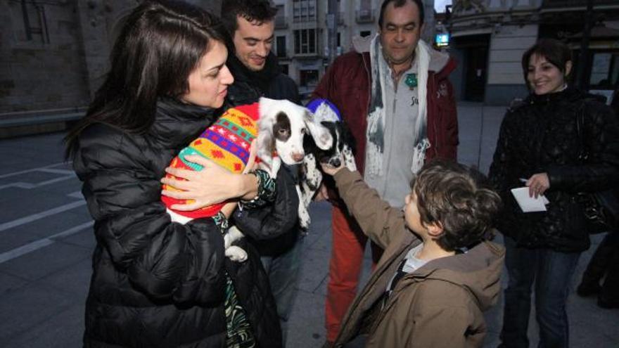 La Protectora Scooby pide a los zamoranos que no regalen animales en Navidad