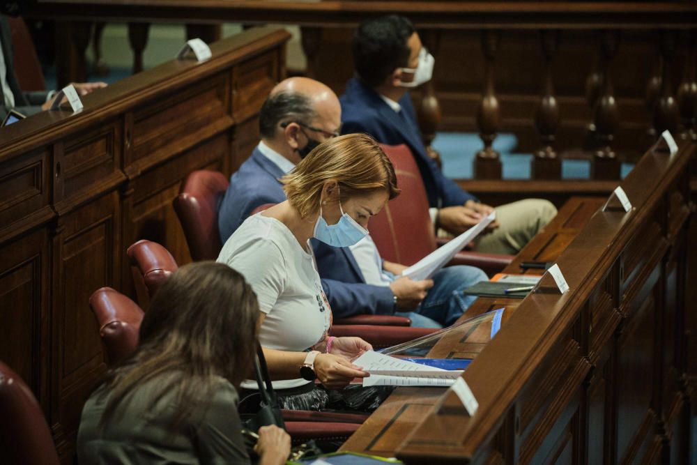 Pleno en el Parlamento de Canarias