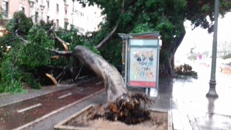 Incidencias de la borrasca Ana en Málaga capital