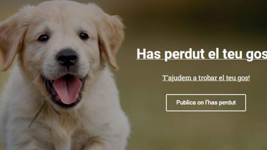 Una nova web que ajuda les persones que han perdut un animal o objecte