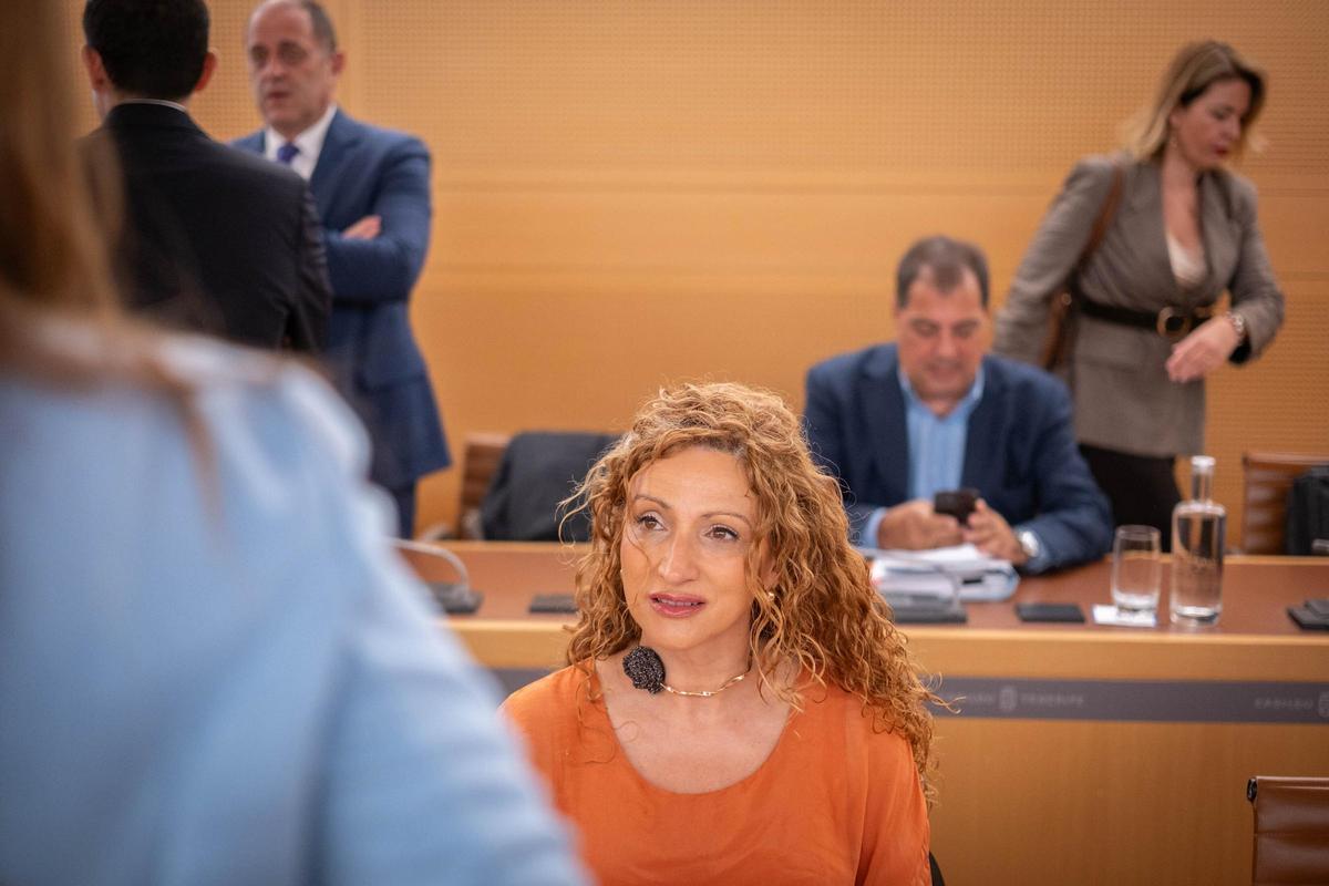 Debate sobre el estado de la isla de Tenerife