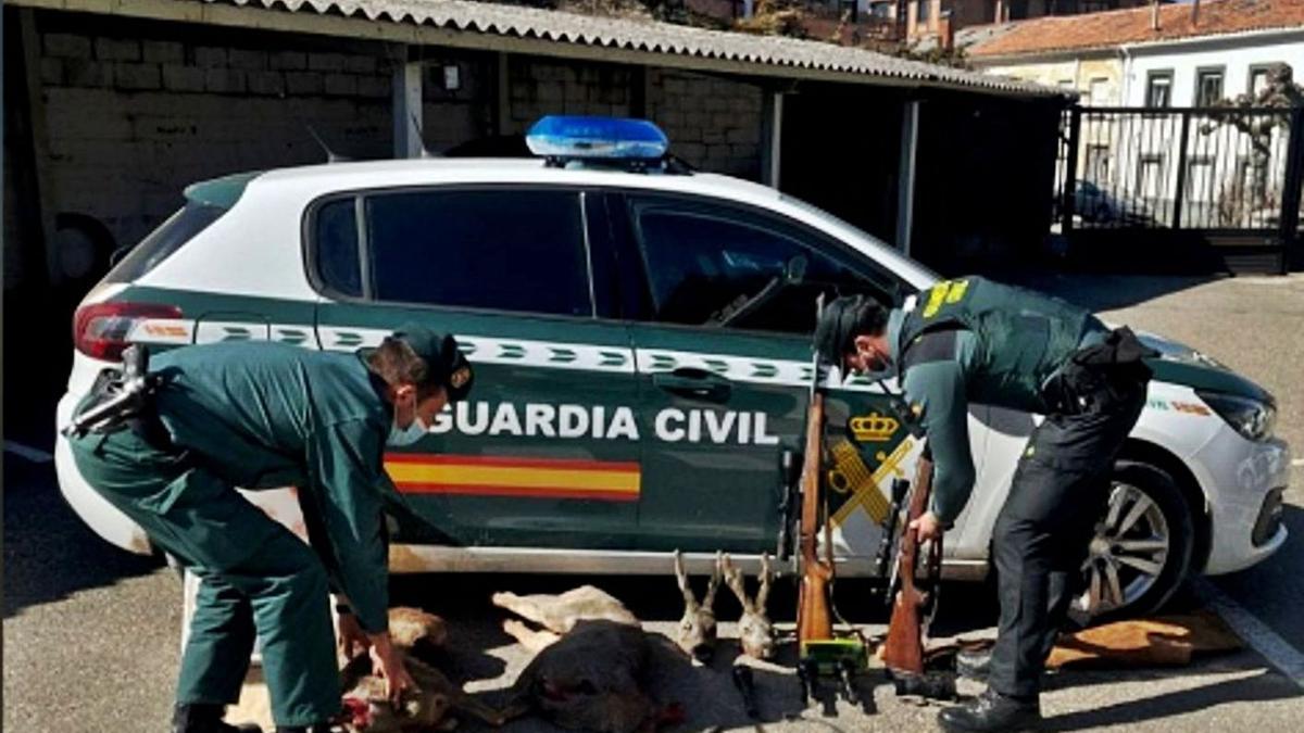 Agentes del Seprona, con cadáveres y armas incautados durante una operación. | Guardia Civil