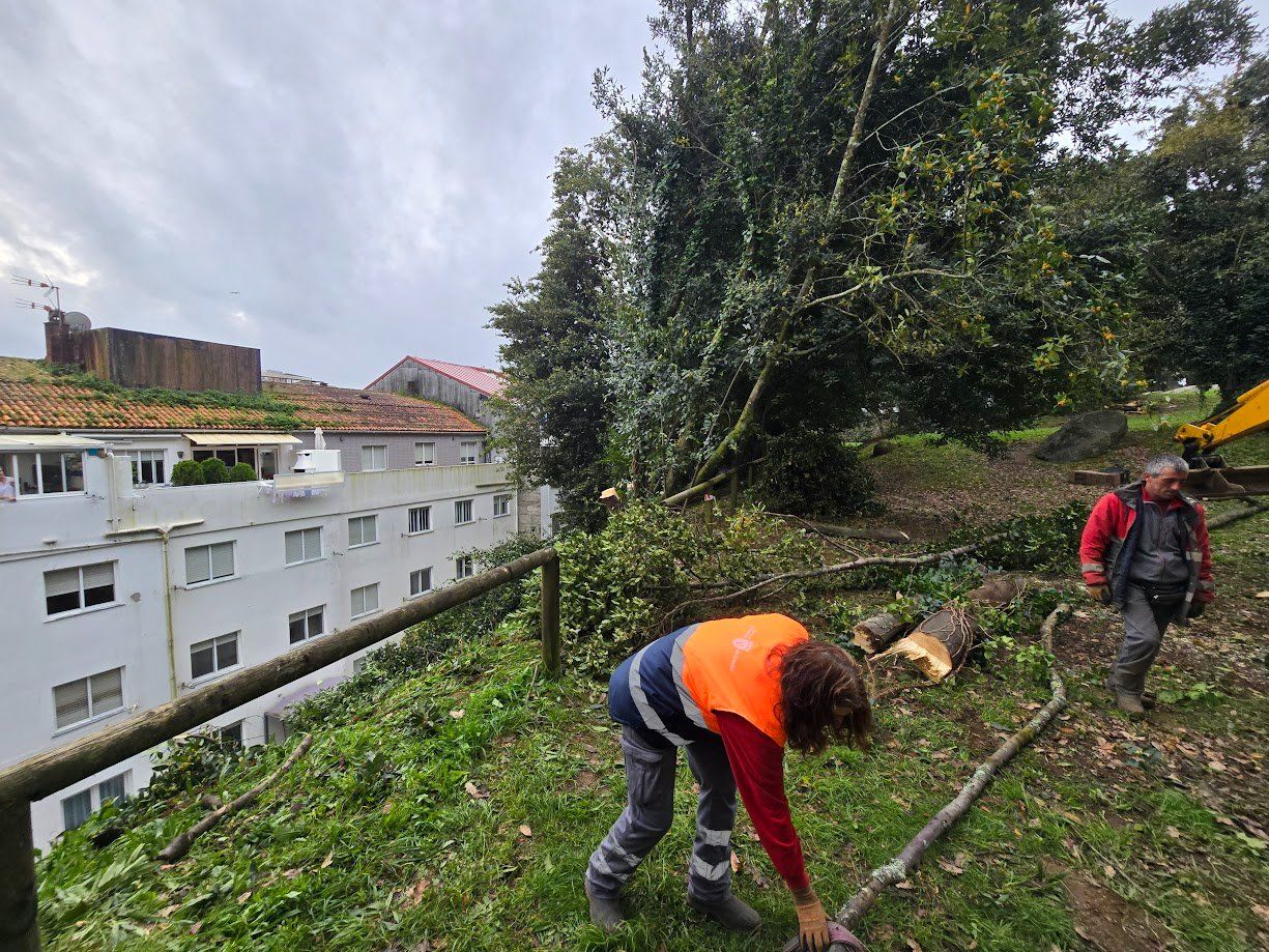 La tala de árboles en el Parque Valdés Bermejo para garantizar la seguridad ciudadana.