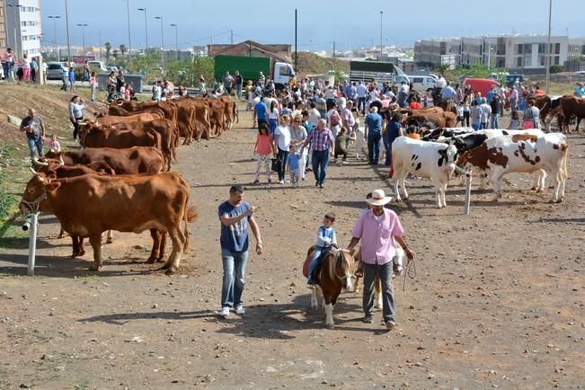 FIESTAS DE SAN GREGORIO