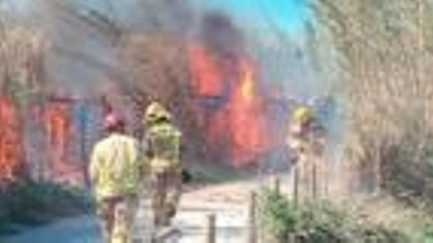 Un foc crema dues barraques i 300 metres quadrats de les hortes de Santa Eugènia de Girona