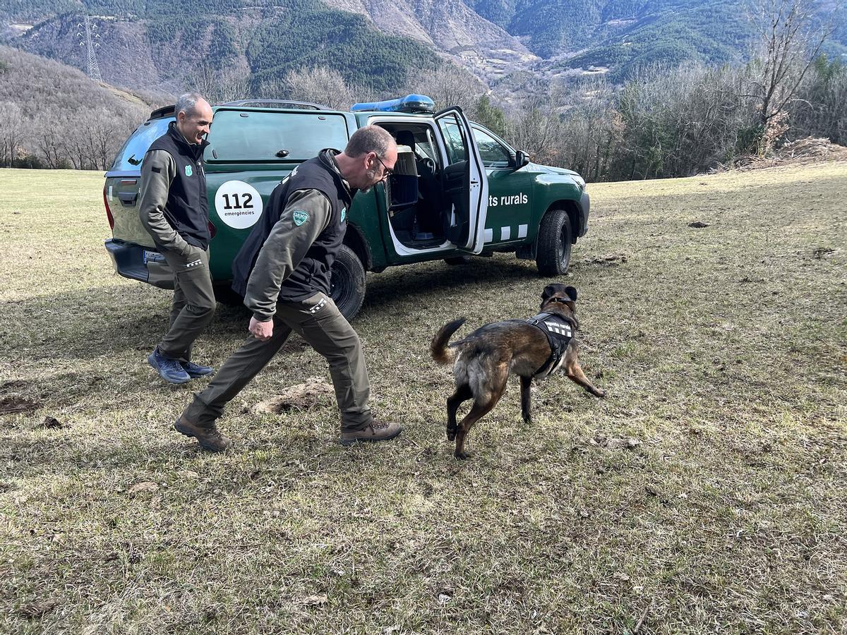 Los agentes rurales hacen un simulacro en Vilaller para mostrar cómo trabaja un perro para localizar a un animal a partir de un excremento