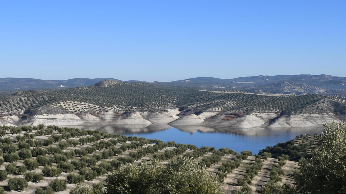 Fincas de olivar en el entorno del embalse de Vadomojón.