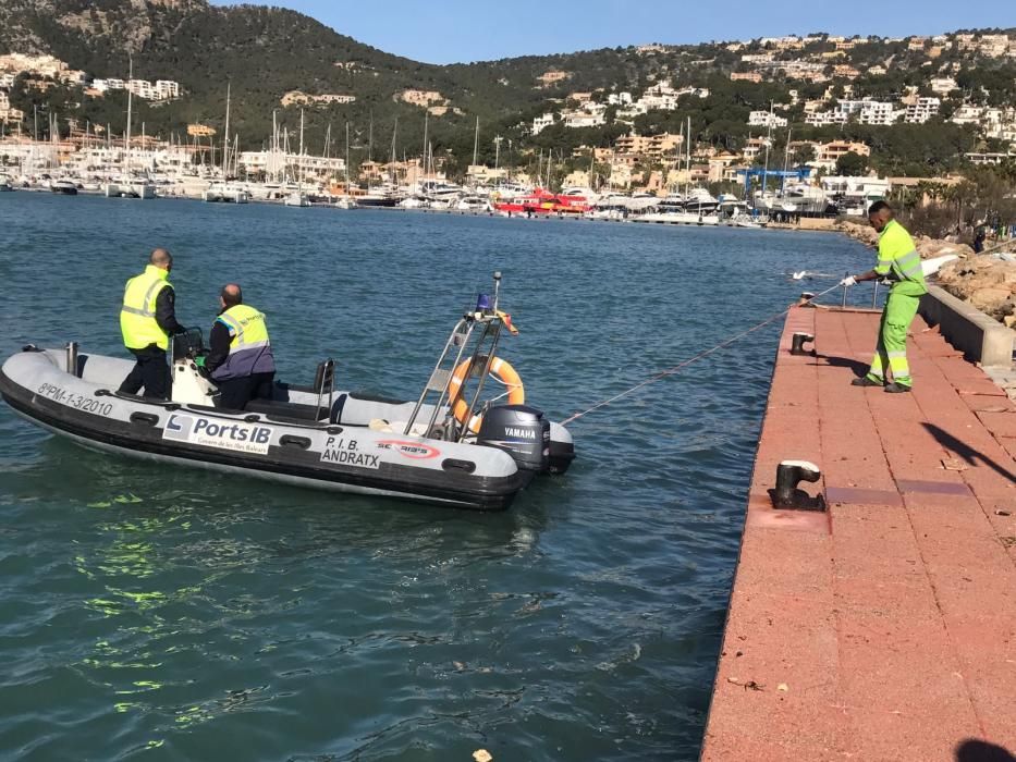 El Port d'Andratx tras el temporal