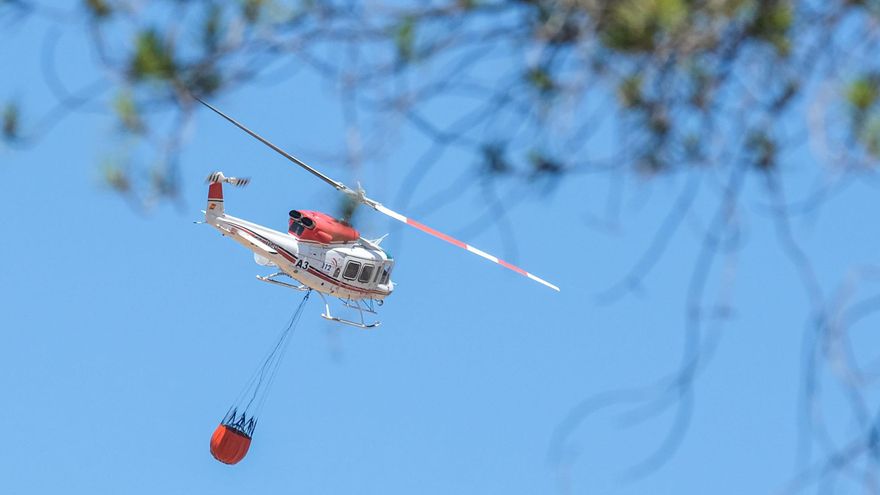 Incendios forestales en verano