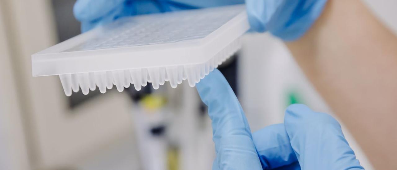 Una enfermera prepara una PCR para el análisis de la viruela del mono
